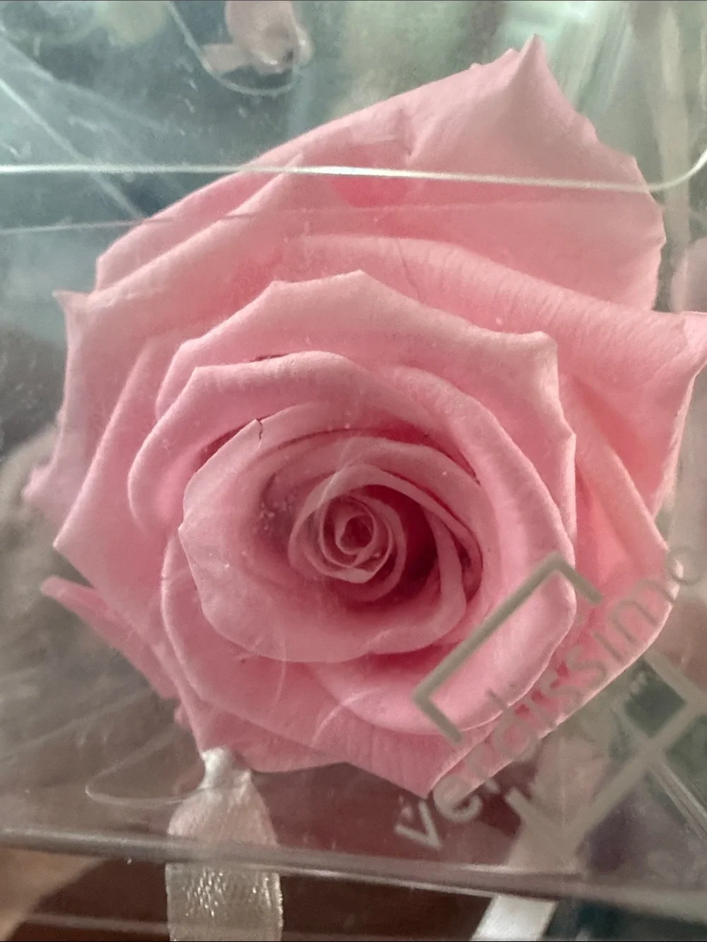 Verdissimo elegant pink